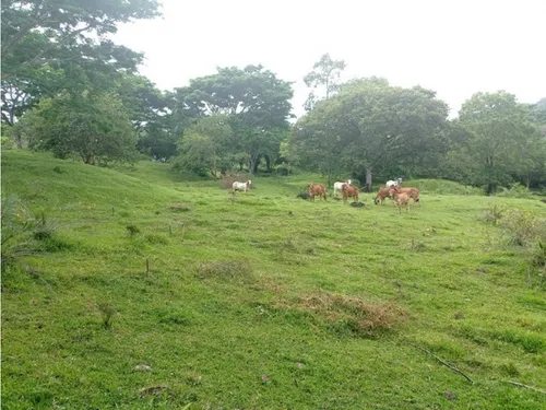 Vendo Lotes En La Pintada Con Vista A Farallones Desde 2.703 M²
