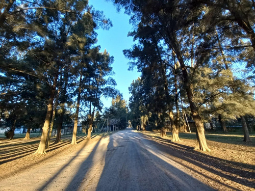 Lote Terreno En El Rodeo - 20 X 50 - 307 Y 50