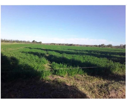 Imagen 3 de 8 de Espectacular Terreno En Mendoza Oportunidad