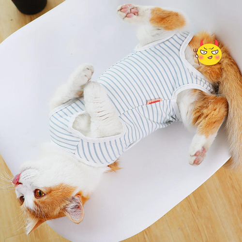 Trajes De Recuperación De Gatos Después De La Cirugía Use