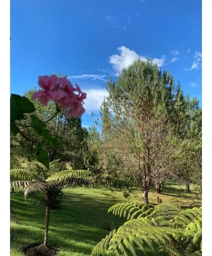 Venta De Encantadora Casa Campestre En Oriente - Don Diego (el Retiro)