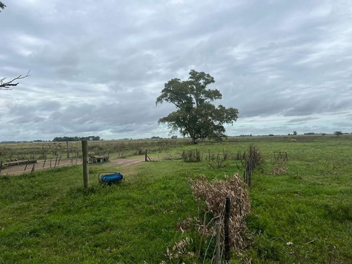33 Ha Con Casa, 3 Potreros, Mangas, Molino, Galpón, Parrilla, Pileta