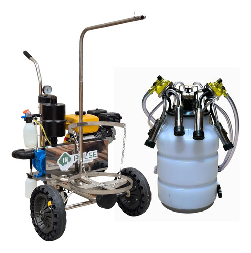 Ordenhadeira Móvel Inox Motor A Gasolina Cjt Duplo Acoplado