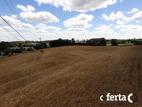 Terreno - Centro - Ref: 270 - V-270