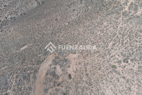 22 Parcelas De 5,000 M2 En Venta El Hinojal,valle De Elqui.