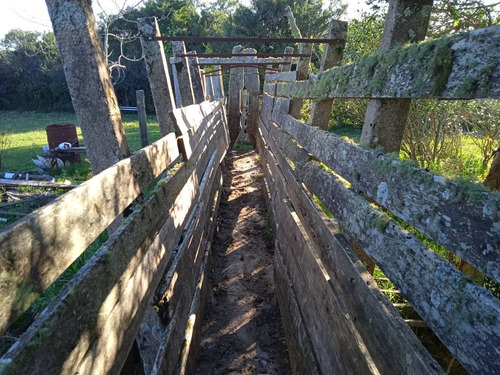 Campo Con Casa A Reparar, Instalaciones