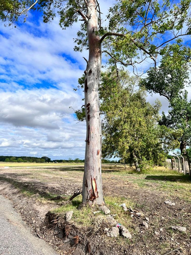 Lotes - Terreno A La Venta - Barrio Abierto - Villa Adriana