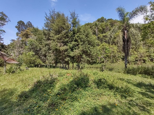 Imagem 8 de 17 de Sítio À Venda Em Juquitiba Com 4 Alqueires Lagos Ótima Localização
