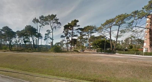 Imagen 7 de 15 de Lote | Bvrd, Artigas 1888