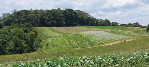 Imagem 8 de 22 de 03o- Vendo Esse Terreno Excelente Em Boa Localização