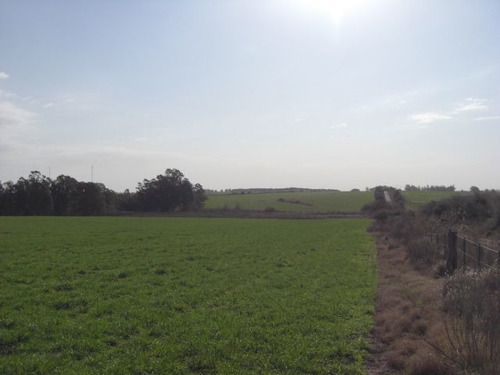 Campo Muy Pintoresco En Conchillas. Ref: 1.010