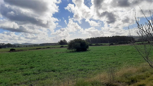 Imagen 5 de 11 de Chacra De 6 Hectáreas Muy Cerca De Ruta 9
