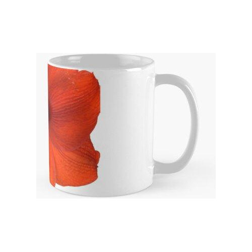 Taza Amarilis Roja Gigante Calidad Premium