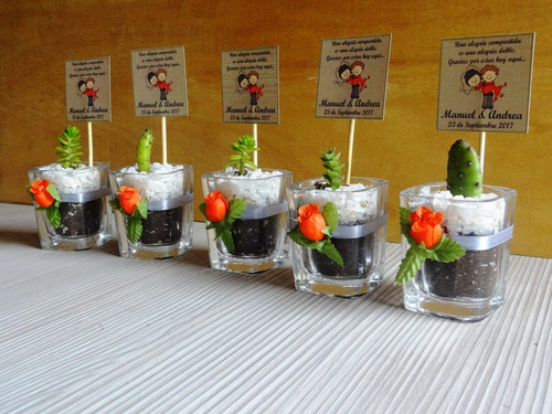 Recuerdos Cactus Encintados Plantas Para Matrimonios Regalos (Usado)