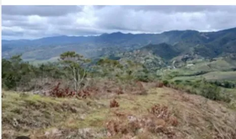 Vendo Finca En Raquira Boyacá 