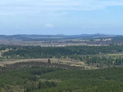 Bosque Con Manejo Cauquenes Inversión (177195)