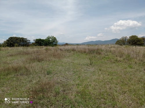 Imagen 9 de 12 de Venta De Terreno En El Palomar, Villa Del Carbón