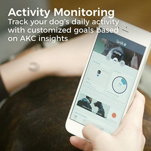 Link Akc Smart Dog Collar Gps Location Tracker, Activity