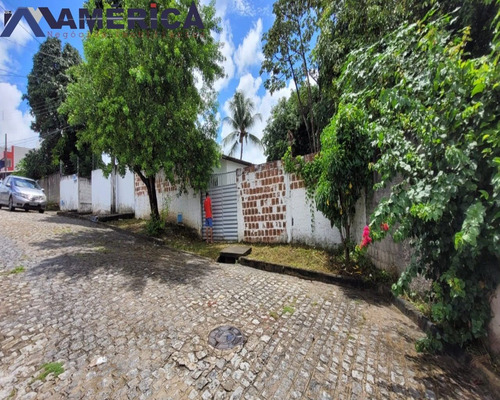 Imagem 5 de 11 de Casa - Ca00225 - 70715770