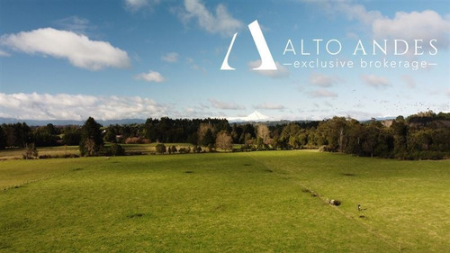 Imagen 5 de 18 de Sitio En Venta En Puyehue