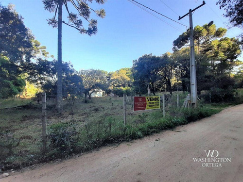 Imagem 3 de 16 de Chácara À Venda, 31000 M² Por R$ 600.000,00 - Cachoeira - São José Dos Pinhais/pr - Ch0066