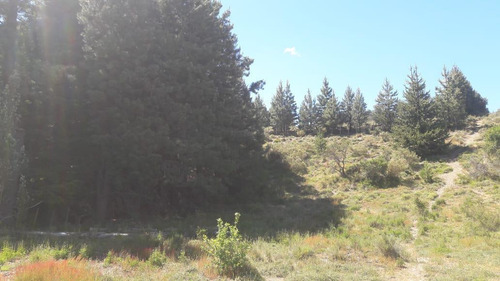 Imagen 3 de 9 de Terreno De 1500 M2 A 15 Metros Del Arroyo