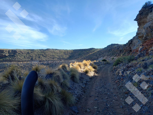 Venta De Estancia En Ruta Provincial 21, Kilómetro 31, Departamento Picunches, Paraje Huarenchenque