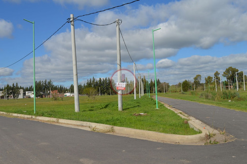Imagen 17 de 30 de Terreno Lote En Venta Ubicado En Manuel B Gonnet, La Plata