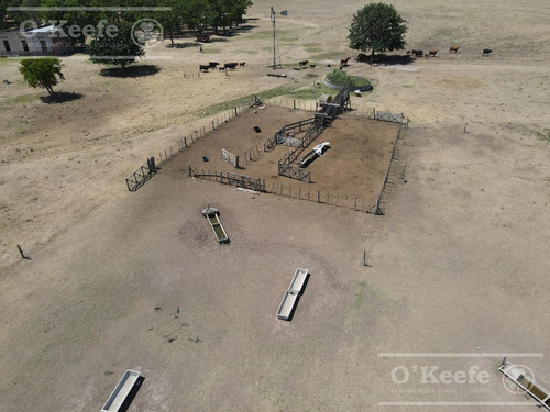 Campo En Venta De 50 Has En Carlos Keen - A 1 Hora De Caba