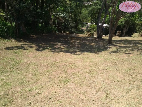 Imagem 6 de 15 de Terreno Para Venda Em Rio Grande Da Serra, Vila Guiomar - 0703a/202_2-1118895