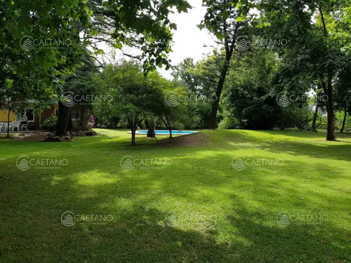Alquiler De Temporada Punta Del Este - Zona Shopping