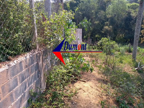 Imagem 8 de 14 de Terreno Limpos Com Árvores Frutíferas Cód 464