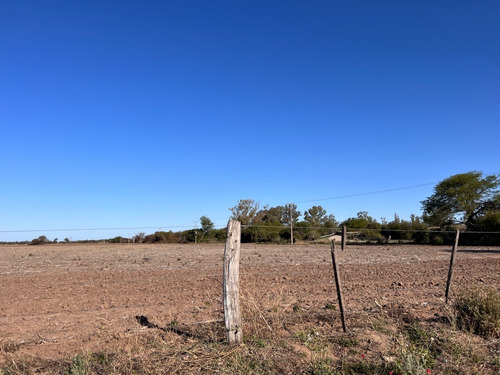 Imagen 4 de 13 de Campo Agricola En Venta , Zona Camino Capilla De Los Remedios Y Ruta 9 Sur , Cordoba , Argentina