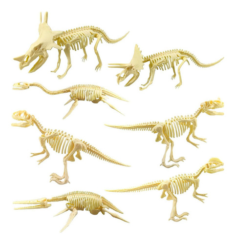 ' 7 Peças De Presente Educacional De Esqueleto De Dinossauro