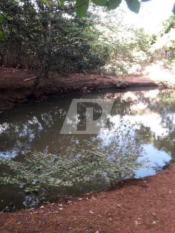 Imagem 14 de 15 de Chácara Convívio Andreia Bairro Godinho - Ch00107 - 69274211