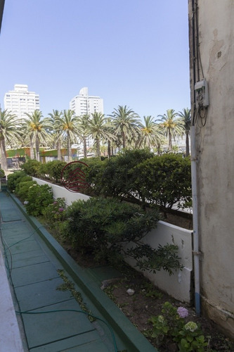 Apartamento En Punta Del Este, Peninsula | Damian Caetano Ref:2815-ref:2815