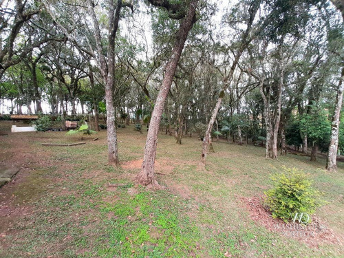 Imagem 16 de 30 de Chácara Com 2 Dormitórios À Venda, 37784 M² Por R$ 660.000,00 - Rio De Una - São José Dos Pinhais/pr - Ch0071