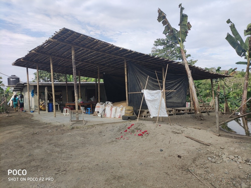 Imagen 2 de 7 de Vendo Finca De 2 Hectáreas