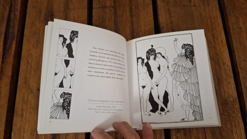 Dibujos Eróticos - Erotismo Ilustrado, 1o Ed. 2007 (40) (Usado)