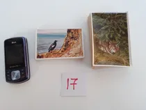 Comprar Lote 250 Antiguas Figuritas Tarjetas Alemanas Animales Aves