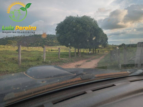 Imagem 7 de 15 de Fazenda À Venda Em Colniza -mt - 629,2 Hectares (dupla Aptidão) - 2108