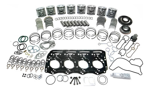 Kit De Piston 4895014 Rep. Navistar 7.3 T444e Ford 94-03