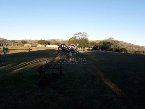 Campo 57 Has Con Casco Antiguo