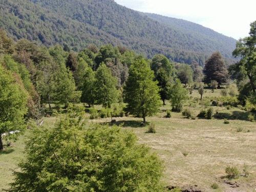 Terreno Cerca Reserva Nacional Malleco, 6.100 Mt2