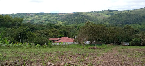 Imagen 17 de 22 de Vendo Finca Bitaco