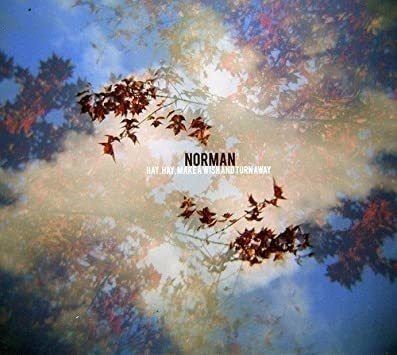 Norman Hay Hay Make A Wish & Turn Away Usa Import Cd