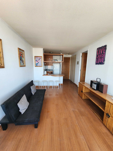 Arriendo Bellas Artes Con Ggcc Incluidos (79580)
