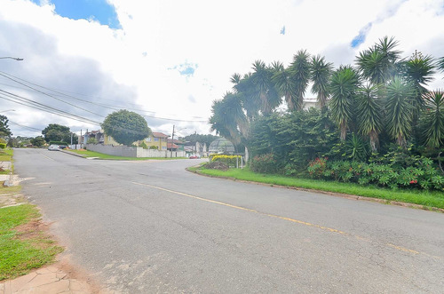 Imagem 6 de 16 de Terreno - Residencial - 930453