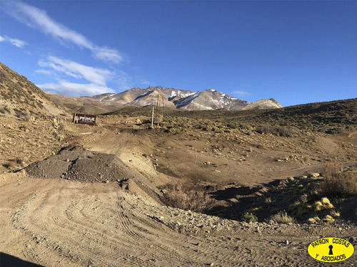 2435ml-fraccion 53 Ha Los Molles - Malargue_mendoza