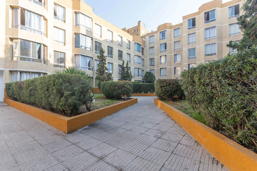 Imagen 8 de 18 de Edificio Rosas- Vista Poniente Piso 4